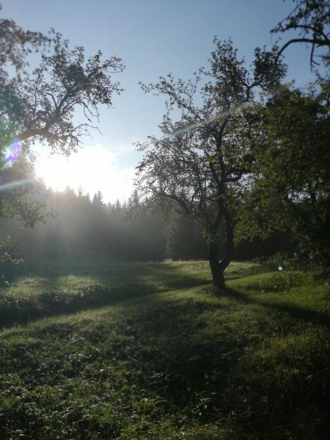 Apartamento Bühlhäusl Grünau im Almtal Exterior foto